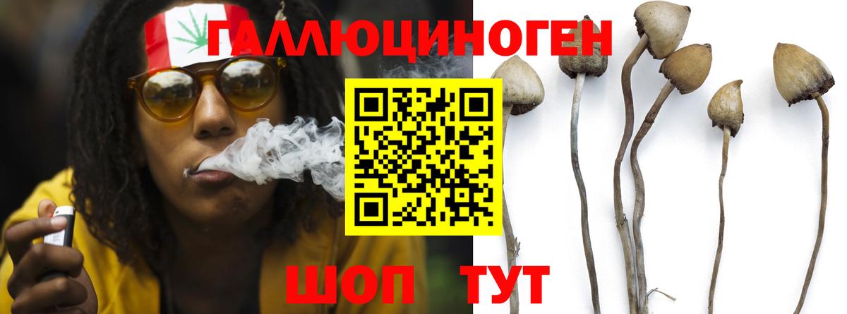 Галлюциногенные грибы Magic Shrooms Омск